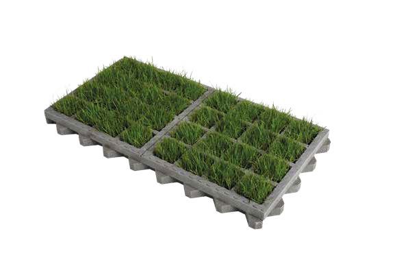 1 O2D GREEN systeem vooraf met gras bezaaid rooster