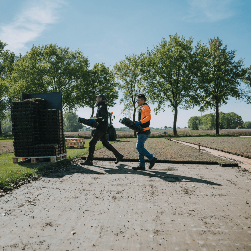 Captainwork Maris fotografie V2