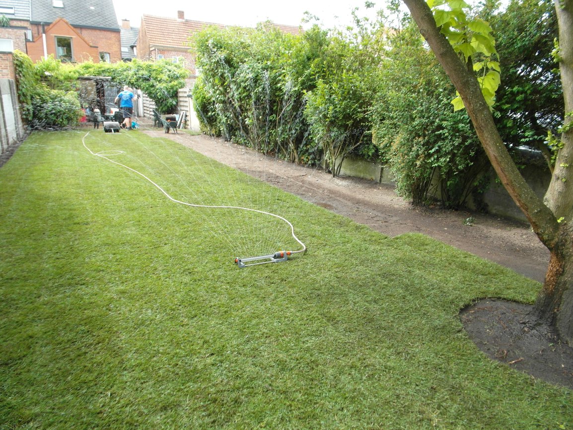 graszoden project wm 3