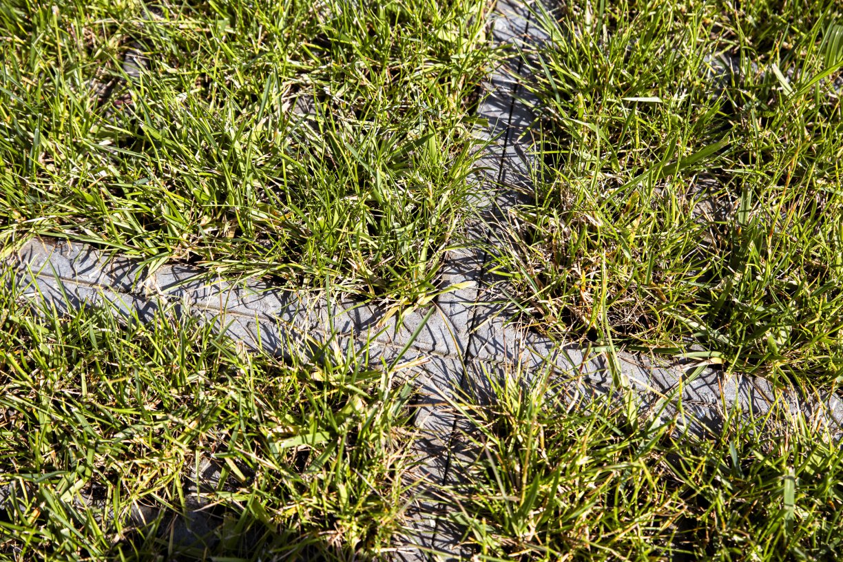 Herbafix detail