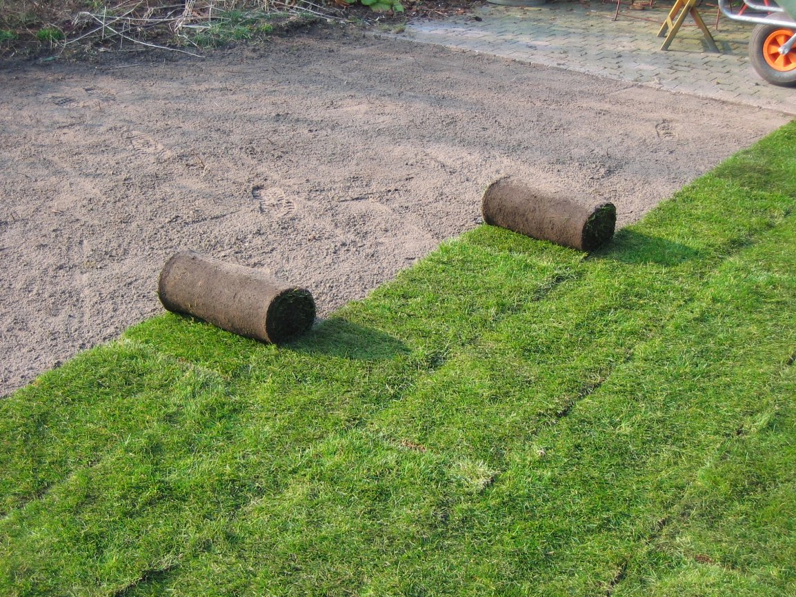 kleine rollen 009