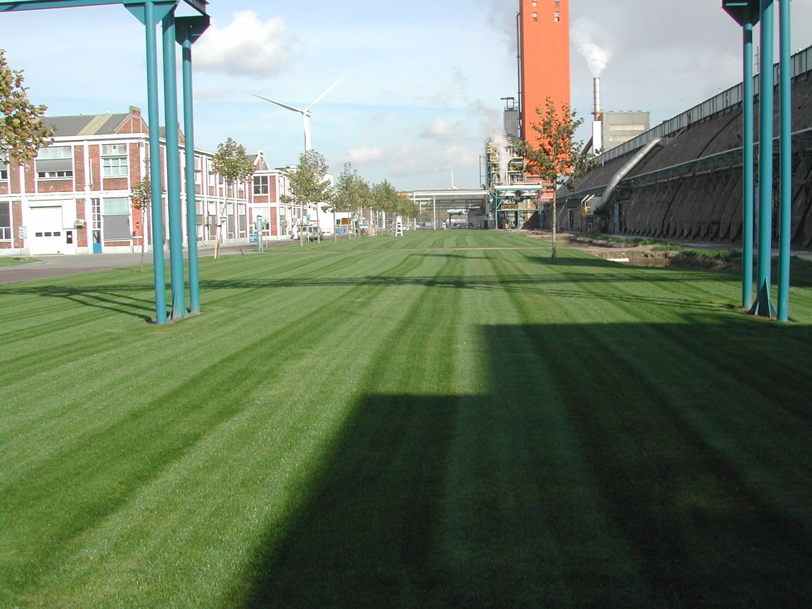 Maris graszoden xl industrie