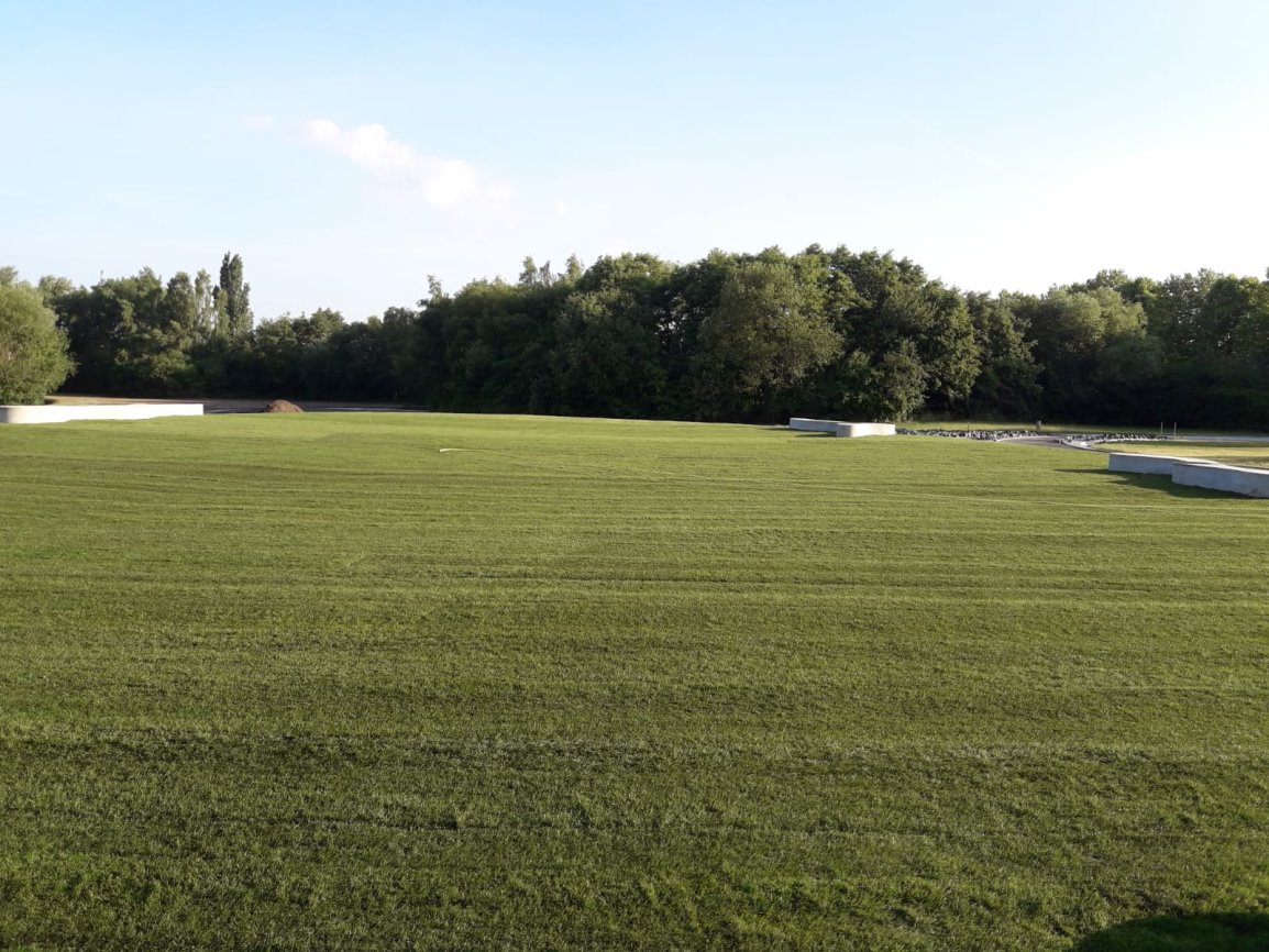 Maris graszoden xl voorbeeld
