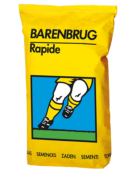 Sportgazon graszaad