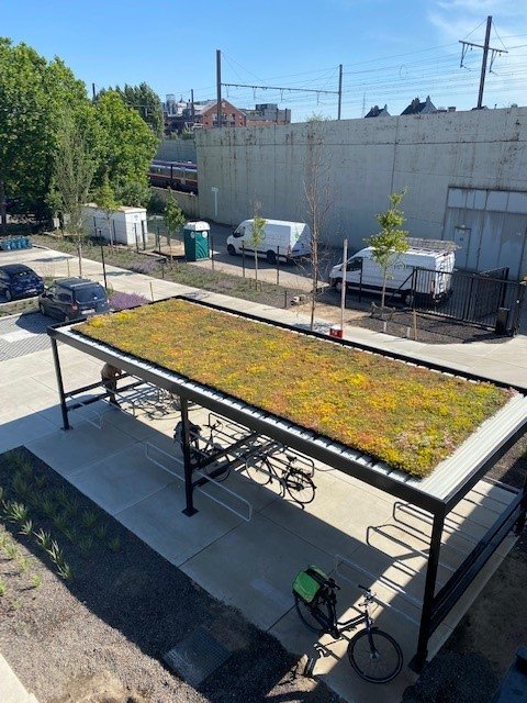Tecno art fietsenstalling sedum 2